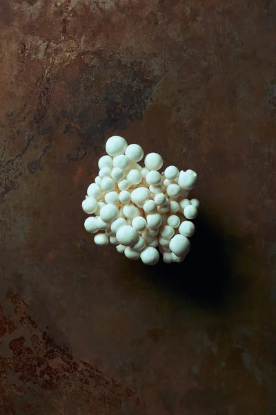 Vue de dessus des champignons shimeji comestibles crus frais sur une surface grunge foncée — Photo de stock