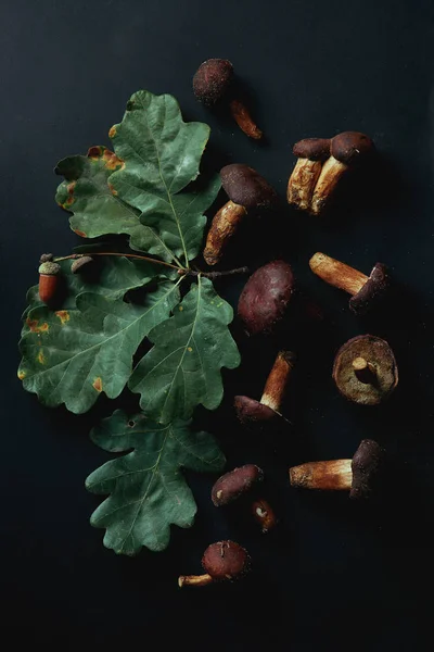 Vue de dessus des champignons suillus frais cueillis savoureux et des feuilles de chêne sur noir — Photo de stock