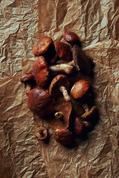 Вид зверху свіжих сирих їстівних грибів суйлуса на пергаментному папері — стокове фото