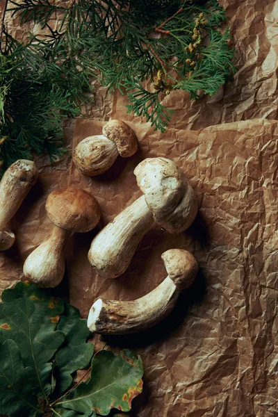 Верхний вид свежих грибов boletus edulis и зеленых листьев — стоковое фото