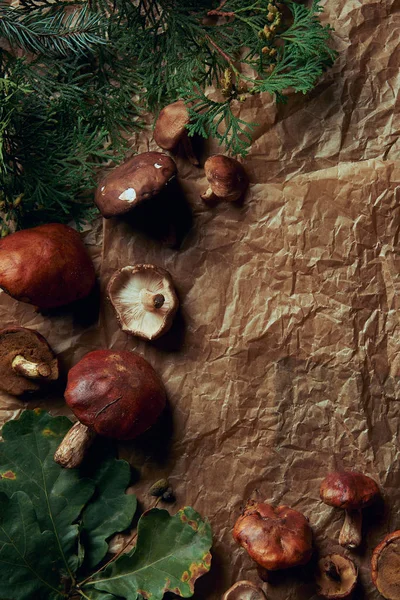 Vue de dessus des champignons suillus frais et des feuilles vertes — Photo de stock