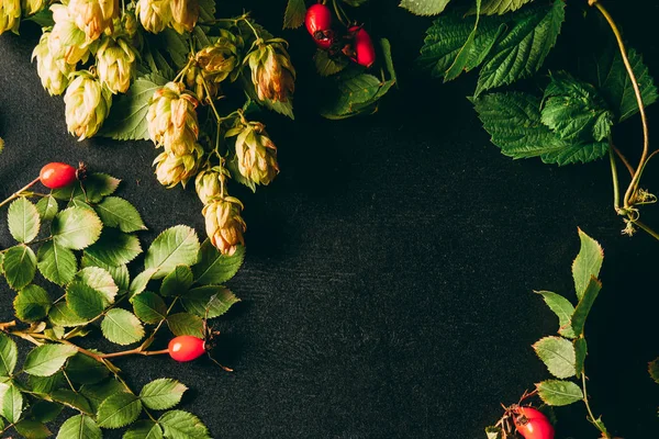 Posa piatta con disposizione piante autunno su sfondo nero — Foto stock