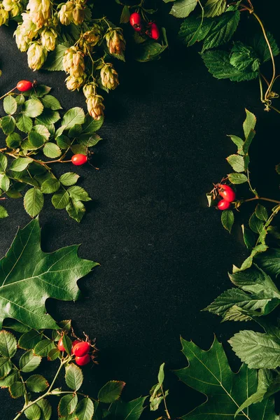 Posa piatta con disposizione piante autunno su sfondo nero — Foto stock