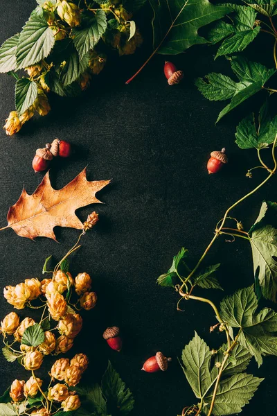 Posa piatta con disposizione piante autunno su sfondo nero — Foto stock