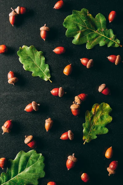 Plein cadre de glands et feuilles de chêne sur fond noir — Photo de stock