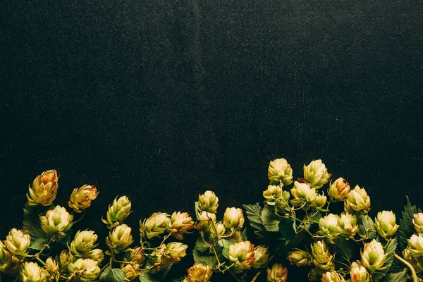 Vue de dessus du houblon et des feuilles vertes sur la surface noire — Photo de stock