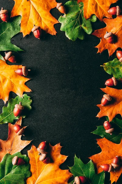 Плоский лежал с желудями и опавшими дубовыми листьями на черном столе — стоковое фото