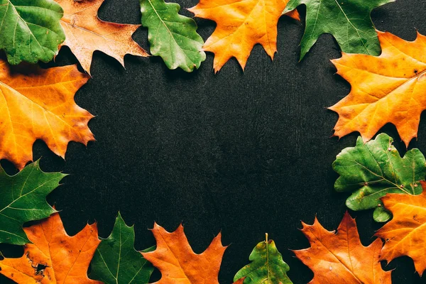 Full frame of arranged oak leaves on black tabletop — Stock Photo