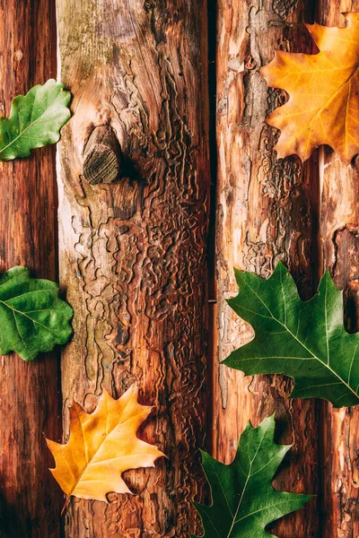 Vista superior de las hojas caídas de roble sobre fondo de madera - foto de stock