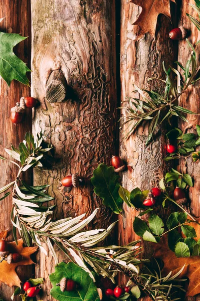 Tendido plano con arreglo de otoño con bellotas, espino cerval de mar común y ramas de brezo sobre fondo de madera - foto de stock