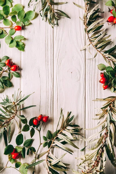 Flat lay with arrangement of autumn herbs on white wooden tabletop — Stock Photo