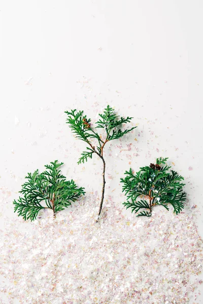 Top view of green pine tree branches and confetti on white backdrop — Stock Photo