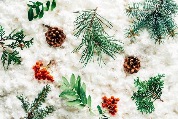 Flat lay with winter arrangement of pine tree branches, cones and sea buckthorn on white cotton wool backdrop — Stock Photo