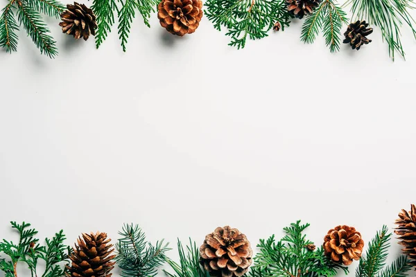 Flat lay with green branches and pine cones arranged on white backdrop — Stock Photo