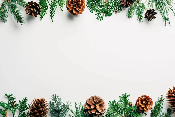 Couché plat avec des branches vertes et des cônes de pin disposés sur fond blanc — Photo de stock