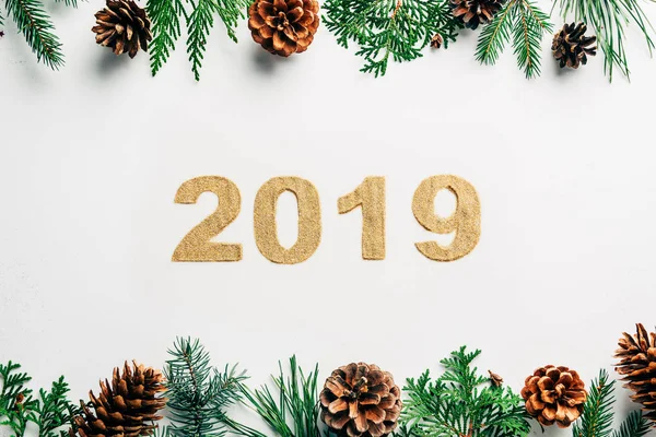 Plat posé avec 2019 année signe, branches de pin et cônes sur fond blanc — Photo de stock
