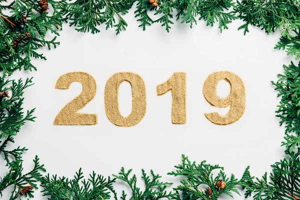 Vue du dessus de 2019 année signe fait de paillettes dorées et branches de pin sur fond blanc — Photo de stock