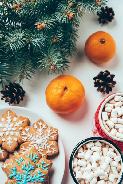 Top view of cups of hot chocolate with marshmallows, tangerines, cookies and pine tree branches on white surface, christmas breakfast concept — Stock Photo