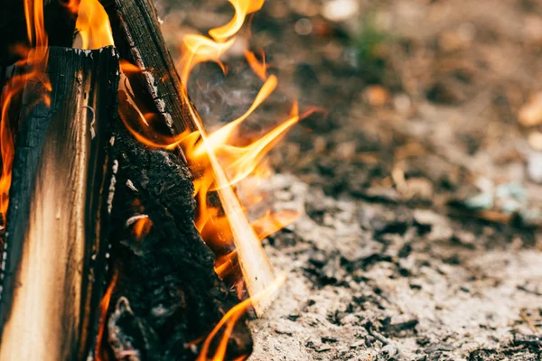 Gros plan du feu de bois brûlé dans la forêt — Photo de stock