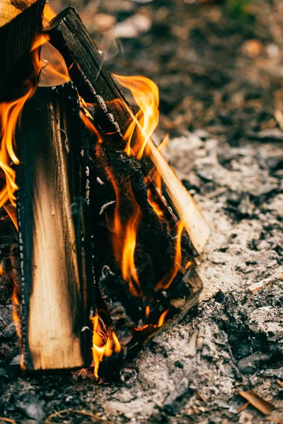 Gros plan du feu de bois brûlé dans la forêt — Photo de stock