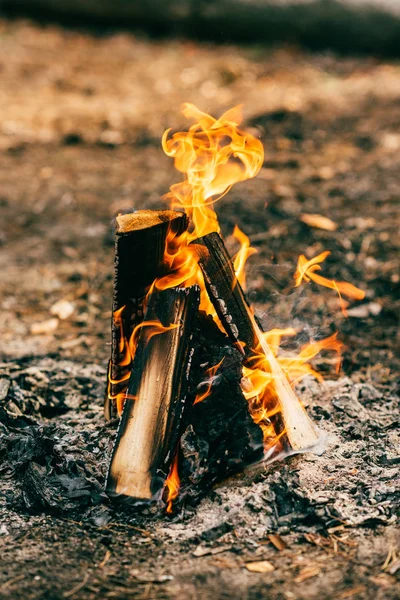 Perto de queima de lenha fogueira na floresta — Fotografia de Stock