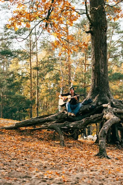 Adult male playing acoustic guitar sitting on tree in park — Stock Photo