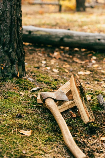 Pila de leña picada en el suelo con hacha en el bosque de otoño - foto de stock