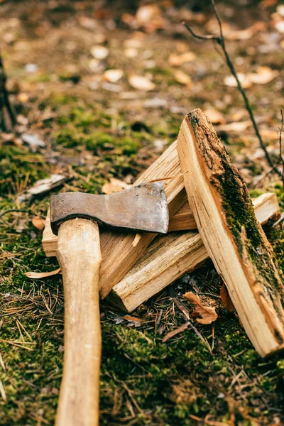 Vertical view of pile of chopped firewood on ground with ax in autumn forest — Stock Photo