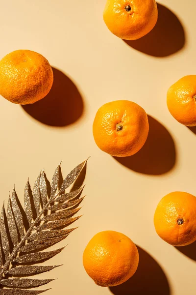 Top view of tangerines and golden twig on beige backdrop — Stock Photo