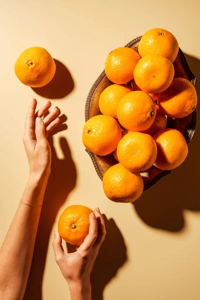 Cropped shot of woman holding tangerine on beige background with metal bowl — Stock Photo