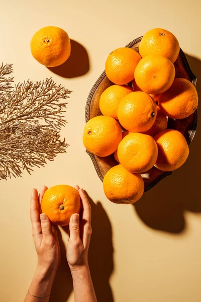 Cropped shot of woman holding tangerine on beige background with metal bowl and decorative twig — Stock Photo