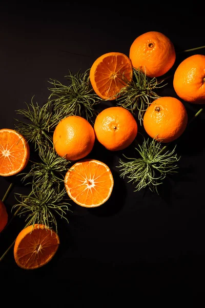 Top view of fresh tangerines and green plants arranged on black tabletop — Stock Photo