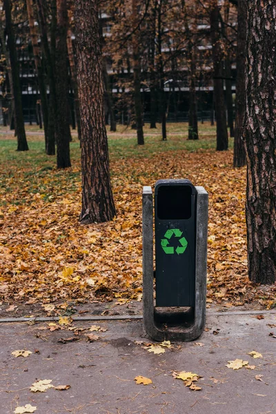 Selective focus of trash bin with recycling sign in autumnal park with yellow leaves — Stock Photo
