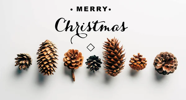 Top view of pine cones arranged on white backdrop with 