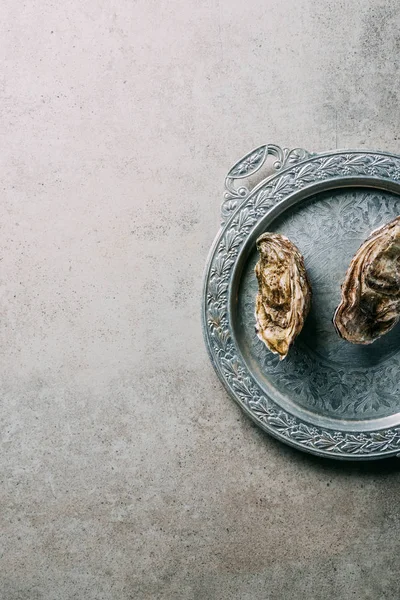 Top view of oysters on metal tray on grey tabletop — Stock Photo