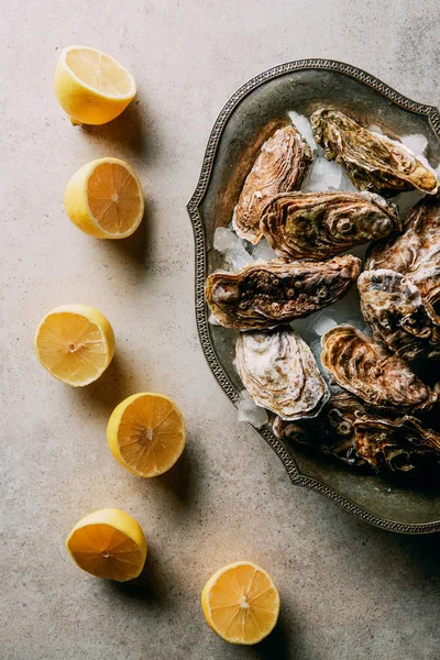 Flat lay with lemon pieces and oysters in metal bowl with ice on grey surface — Stock Photo