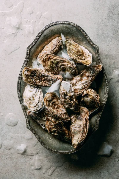 Poser à plat avec des huîtres dans un bol métallique avec de la glace sur la surface grise — Photo de stock