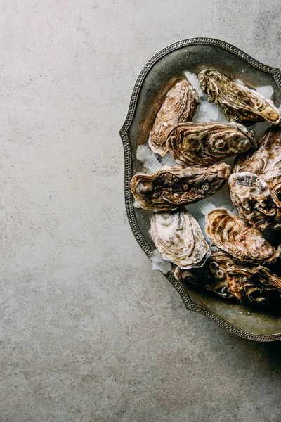 Flat lay with oysters in metal bowl with ice on grey surface — Stock Photo