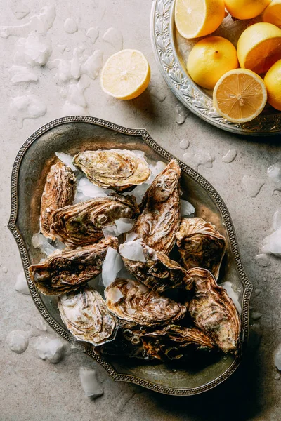 Flat lay with oysters in ice and lemon pieces on grey surface — Stock Photo