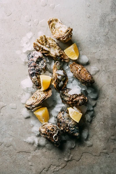 Draufsicht auf die Anordnung von Austern mit Eis- und Zitronenstücken auf grauer Oberfläche — Stockfoto