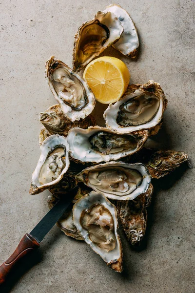Vista superior de ostras, metade limão e faca na superfície cinza — Fotografia de Stock