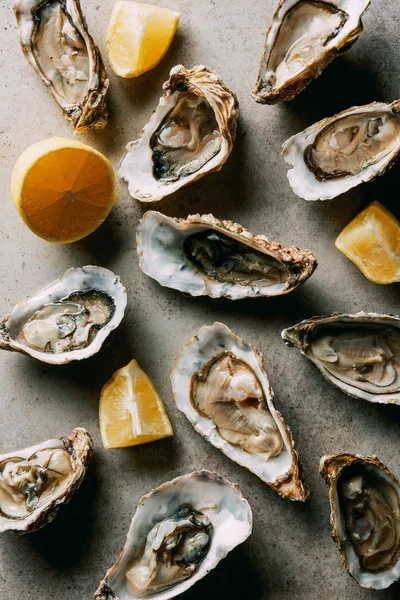 Flat lay with arranged lemon pieces and oysters on grey surface — Stock Photo