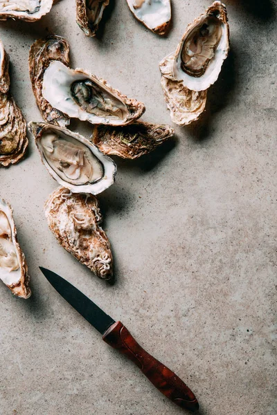 Flat lay with arranged oysters and knife on grey surface — Stock Photo