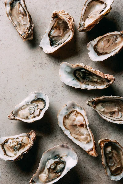 Pose plate avec huîtres disposées sur la surface grise — Photo de stock
