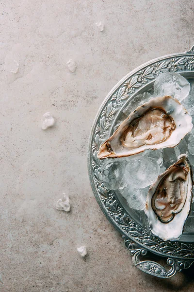 Top view of oysters with ice on metal tray on grey tabletop — Stock Photo