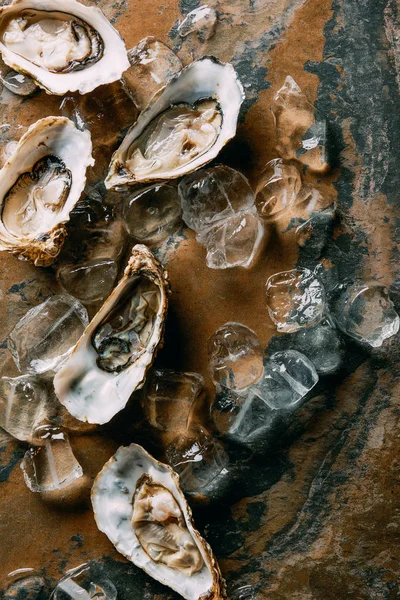 Top view of oysters and ice cubes on grungy surface — Stock Photo