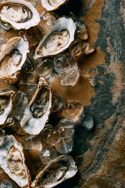 Top view of oysters and ice cubes on grungy surface — Stock Photo