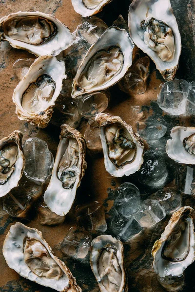 Top view of oysters and ice cubes on grungy surface — Stock Photo
