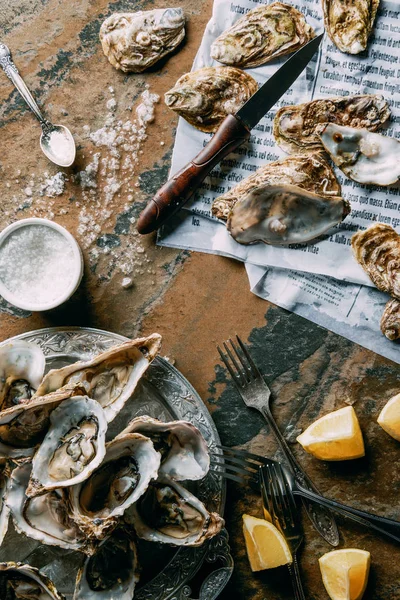 Top view of arrangement of oysters, salt and lemon pieces on grungy tabletop — Stock Photo