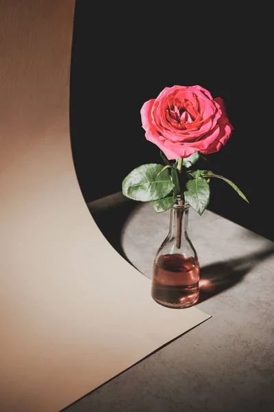 Rose fleur rose en bouteille de verre sur table en pierre avec feuille de papier isolé sur noir — Photo de stock